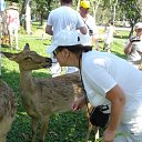 ���� �����, ������, 67 ��� - ��������� 16 ���� 2012 � ������ �� �������!!!!!!�