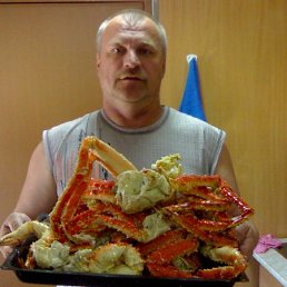 ������, ���������, 62 ����