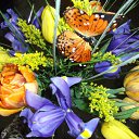  ,  , 58  -  7  2011   ߻