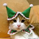 ���� ���������, ���������, 47 ��� - ��������� 29 ���� 2010 � ������ �������