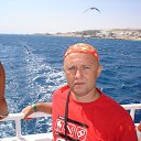 ���� ����, ������, 49 ��� - ��������� 20 ���� 2013 � ������ ���� ����������