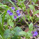 ���� �����, ����, 62 ���� - ��������� 3 ��� 2013 � ������ ���� ����������