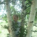 ���� 2012� �� ������� ���� ����������