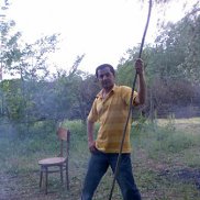 ������, 54 ����, �����������