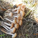 ���� �����, ������ - ��������� 5 ������� 2012 � ������ ����� ��������