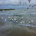 ���� �����, ������ - ��������� 26 ���� 2012 � ������ ����� � ����...�