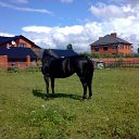 ���� ����, ������, 61 ��� - ��������� 14 ����� 2012