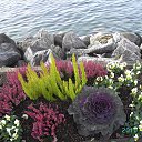 ���� ����� �������, ������, 75 ��� - ��������� 21 ������� 2013