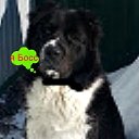 ���� ������ �����!, ������� - ��������� 2 ���� 2013 � ������ ����� ��� ������������