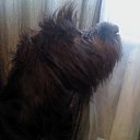 ���� �����, �����-���������, 52 ���� - ��������� 2 ������� 2012 � ������ ���� ����������