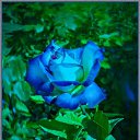 ���� �����, ����� - ��������� 24 ������ 2010 � ������ ��������