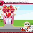  , , 54  -  20  2010   PetLove