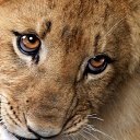 ���� !!!!! �����!!!!!, ���� - ��������� 5 ���� 2013 � ������ ���� ����������