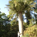 ���� �������, ������������, 43 ���� - ��������� 28 ������� 2012 � ������ ���� ����������