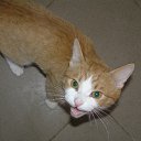 ���� �������, ���������, 24 ���� - ��������� 3 ������� 2011 � ������ ���� �����