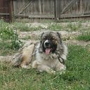 ���� ��������, ���������, 50 ��� - ��������� 12 ���� 2013