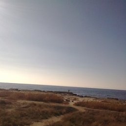 Ffffffff, �����������, 53 ����