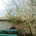 ���� �������, ������, 67 ��� - ��������� 12 ���� 2012 � ������ ���� ������ �����������