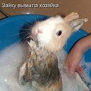 ���� ���������, ���������, 45 ��� - ��������� 19 ������ 2013 � ������ ���� ����������