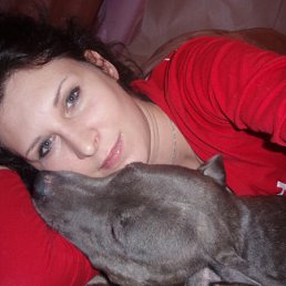 ������, ������ ��������, 45 ���