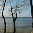 ���� �������, ��������, 39 ��� - ��������� 7 ���� 2012 � ������ ���� ����������