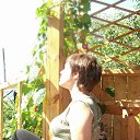 ���� Satella, ������, 33 ���� - ��������� 4 �������� 2011 � ������ ������ ������ �� ����)�