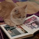 ���� ������, ���������, 48 ��� - ��������� 20 ����� 2010 � ������ ��������