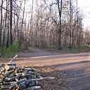 ���� �����, ������, 73 ���� - ��������� 5 ������ 2011 � ������ ������������ ����������