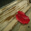 ���� Corrado666, �������, 41 ��� - ��������� 31 ������� 2009 � ������ ���� ������ ���������� ������� ...�