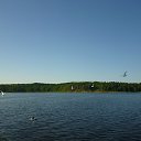 ���� ������, ������, 42 ���� - ��������� 4 ���� 2013 � ������ �����������