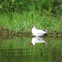 ���� ��������, ������ - ��������� 11 �������� 2011 � ������ �������� ����˨���