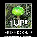  D.s., , 38  -  25  2011   