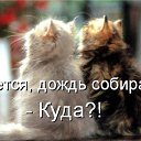 ���� ��������, ������, 39 ��� - ��������� 8 ������ 2010 � ������ �������