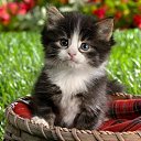 ���� Ihar., �����, 53 ���� - ��������� 18 ��� 2012 � ������ ���� ����������