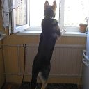 ���� �� �����