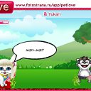  @@,  -  8  2010   PetLove