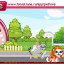 ���� ����, �����������, 23 ���� - ��������� 12 ������ 2010 � ������ �PetLove�