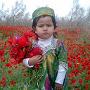  , -, 46  -  13  2012