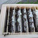 ���� ������, ������������, 47 ��� - ��������� 1 ������� 2012