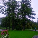 ���� ������, ������ ��������, 41 ��� - ��������� 6 ������ 2011 � ������ ��������