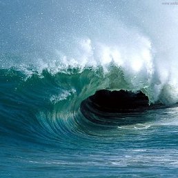 ���� ����, �����������, 35 ��� - ��������� 11 ������� 2011