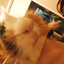 ���� ������, ������������ - ��������� 19 ������� 2011 � ������ �:)�