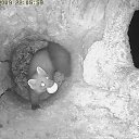 ���� ������, ��������, 44 ���� - ��������� 2 ���� 2011