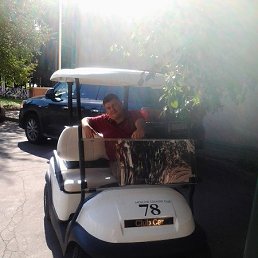 ������, 50 ���, ���������