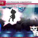 ���� ����, ������, 23 ���� - ��������� 27 ������� 2010 � ������ �PetLove�