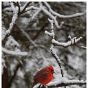 ���� �������, ������, 50 ��� - ��������� 21 ����� 2010 � ������ ������� ��������