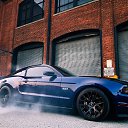 ���� �������, ������, 31 ��� - ��������� 2 ������� 2012 � ������ ���� ����������