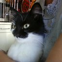 ���� ���� ��, �������, 49 ��� - ��������� 15 ������ 2011 � ������ ���� ���.�