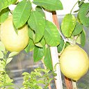 ���� ������, �����������, 56 ��� - ��������� 6 ����� 2013 � ������ �� �� ������