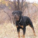  Sergey, , 65  -  4  2011    